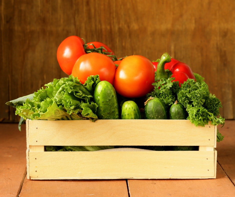 Fresh vegetables from Little Logan's Farm — tomatoes, cucumbers, lettuce and peppers in a wooden crate